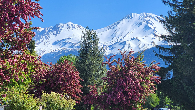 Zoom View